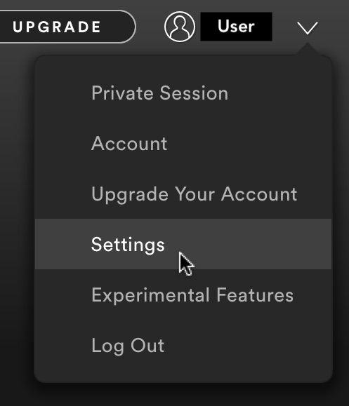 Screenshot of the Spotify Desktop Application