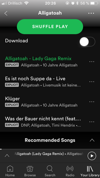 Screenshot of a Spotify Playlist in the Mobile App
