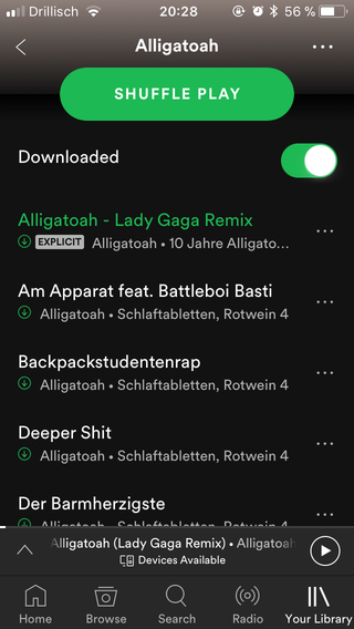 Screenshot of Downloaded Songs in the Spotify Mobile App