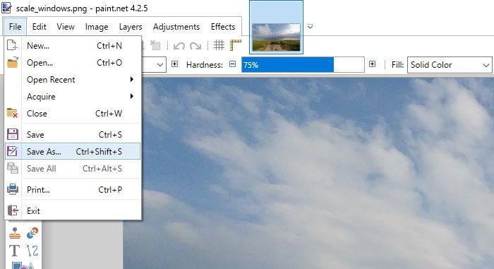 File options in paint.net
