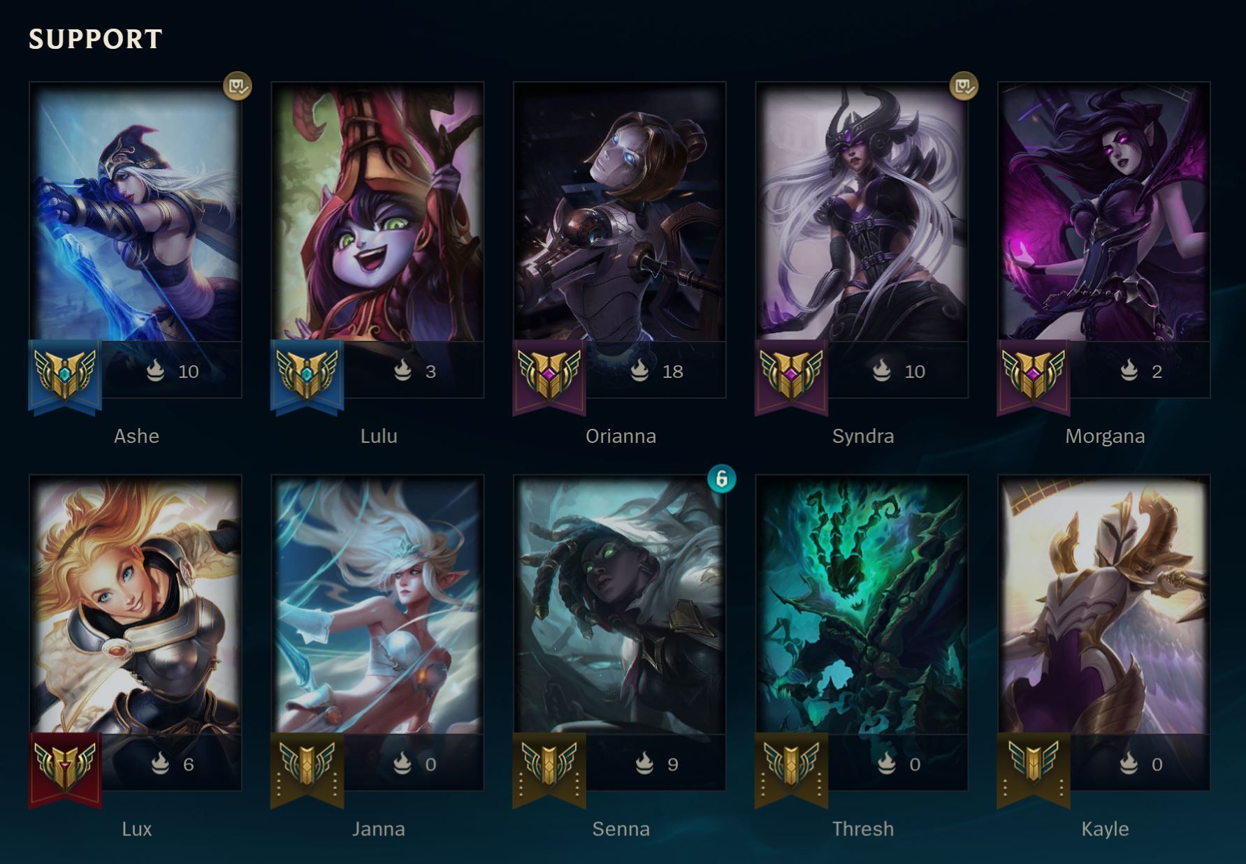 Support Champions in League of Legends.